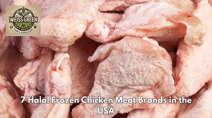 7 Halal Frozen Chicken Meat Brands in the USA