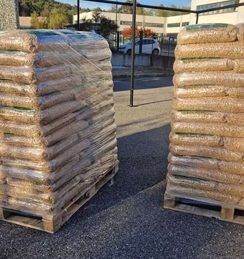 Innovation in Agriculture: Smart Solutions for a Sustainable Tomorrow