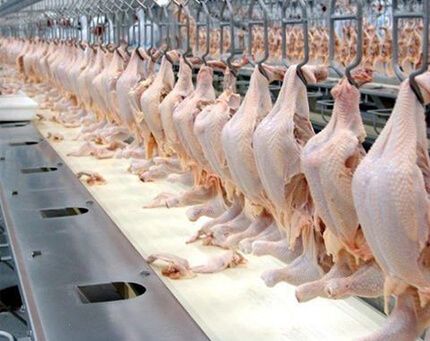 food, meat and poultry