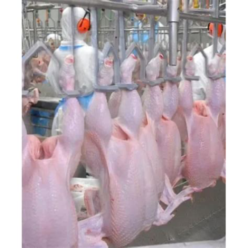 Frozen Whole Chicken Leg Quarters Wholesale Price