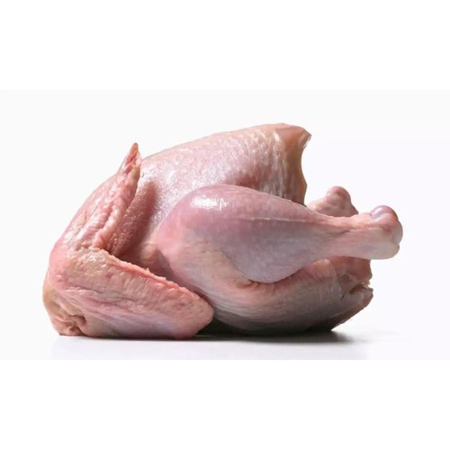 Premium Quality Halal Frozen Whole Chicken – Wholesale & Retail Supply